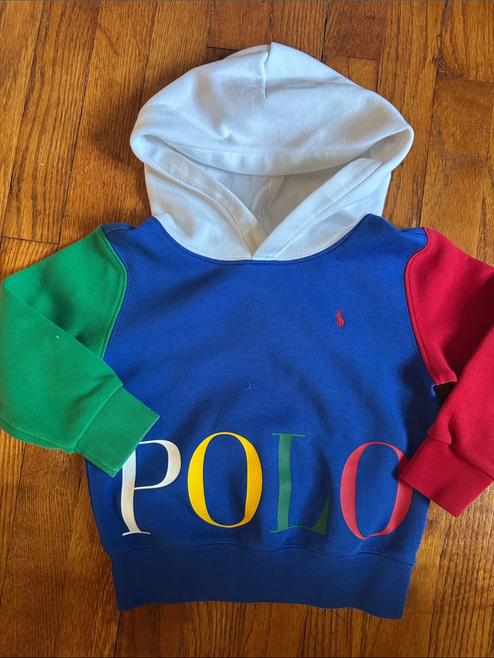 Polo by Ralph Lauren Kids Colorblock Hooded Sweatshirt